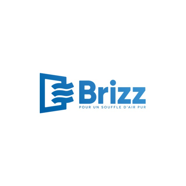 logo brizz 1