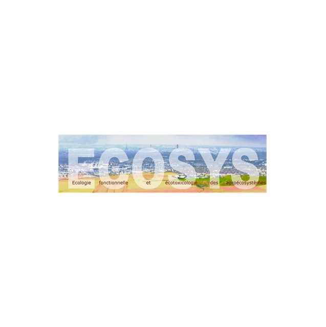 Logo Ecosys 1